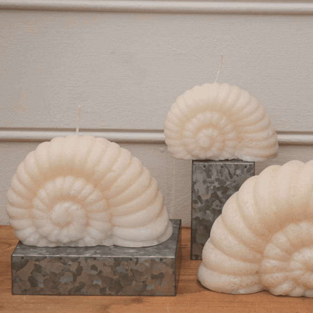 Nautilus Shell Candle