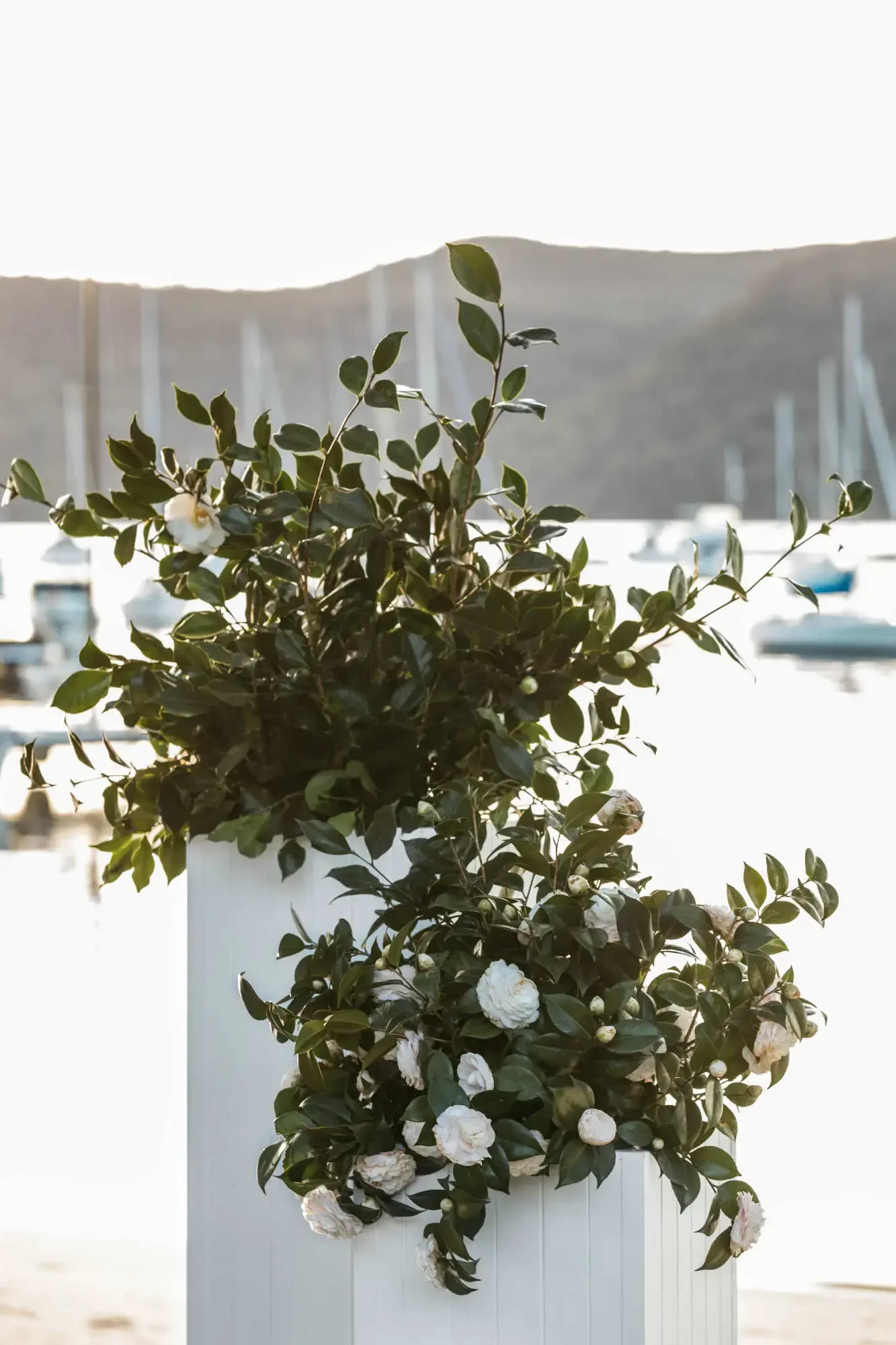 PLINTHS WITH GREENERY AND FLORALS